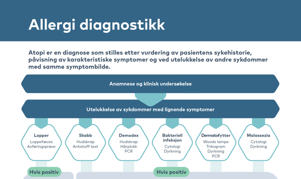 Allergi flowchart thumbnail NO