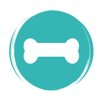BUTTONS AdobeStock_384136993-04 BUTTONS AdobeStock_384136993-04