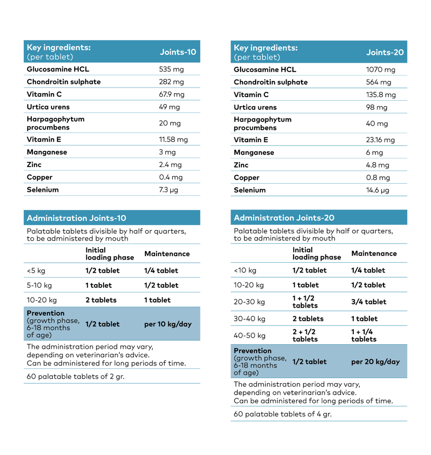 Ingredients_EN_joint 10+20