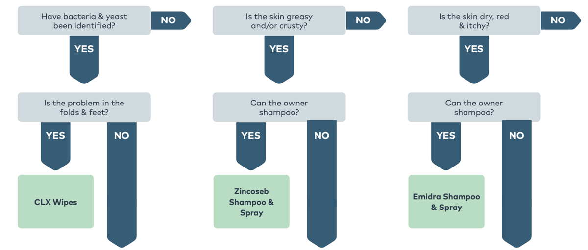 NEX079 - Skin Flowchart A3L