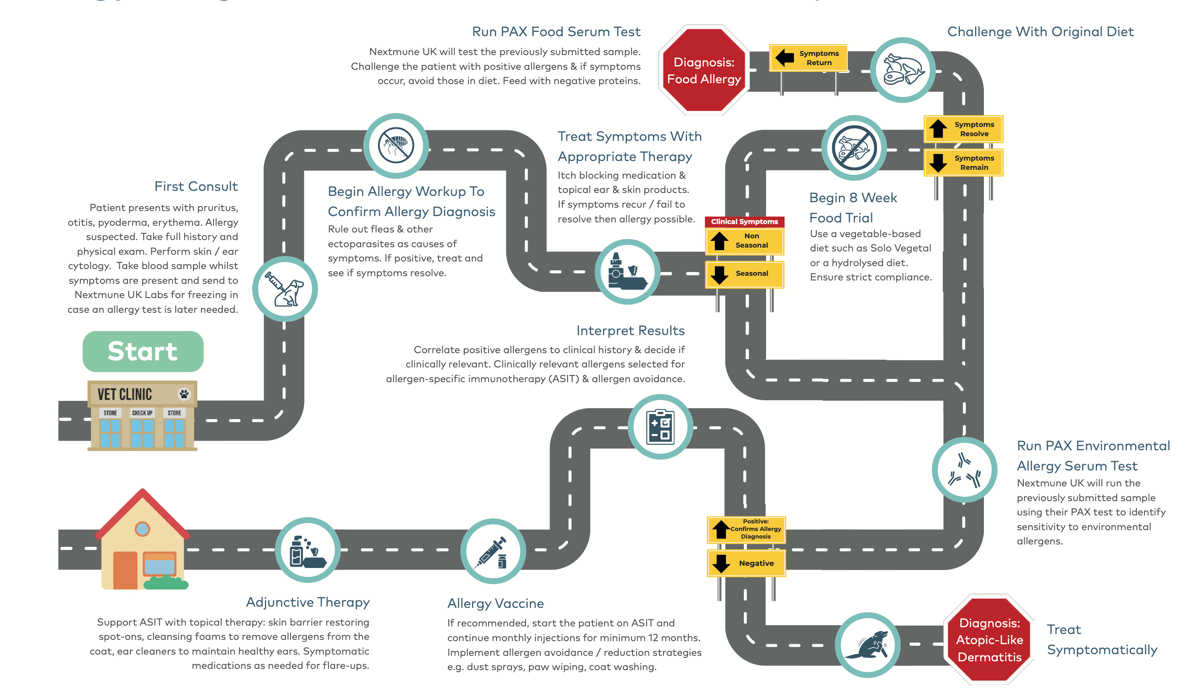 NEX085 - Allergy Roadmap A3L