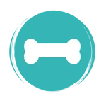 BUTTONS AdobeStock_384136993-04 BUTTONS AdobeStock_384136993-04