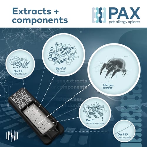 PAX intro_Extracts vs components_1080x1080px_v3