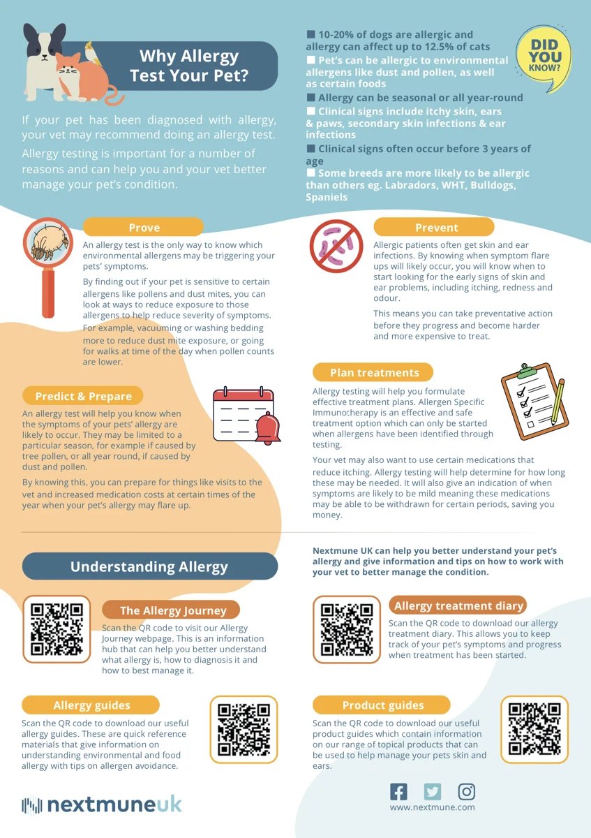 Why Allergy Test Poster