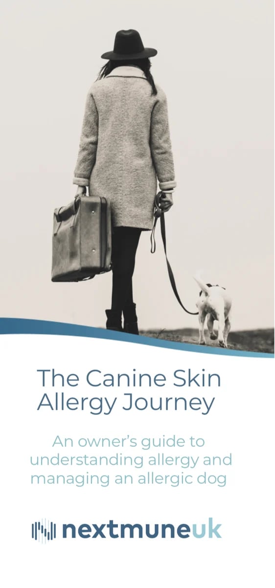 allergy journey flyer