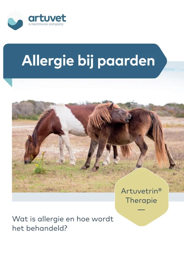brochure allergie bij paarden-1