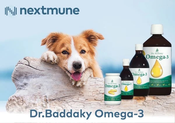 Dog and Dr. Baddaky Omega 3