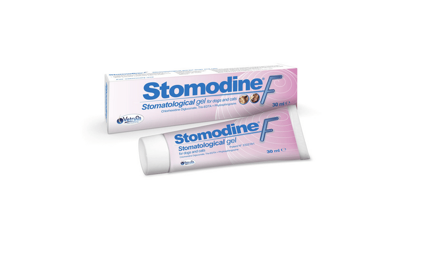 stomodine