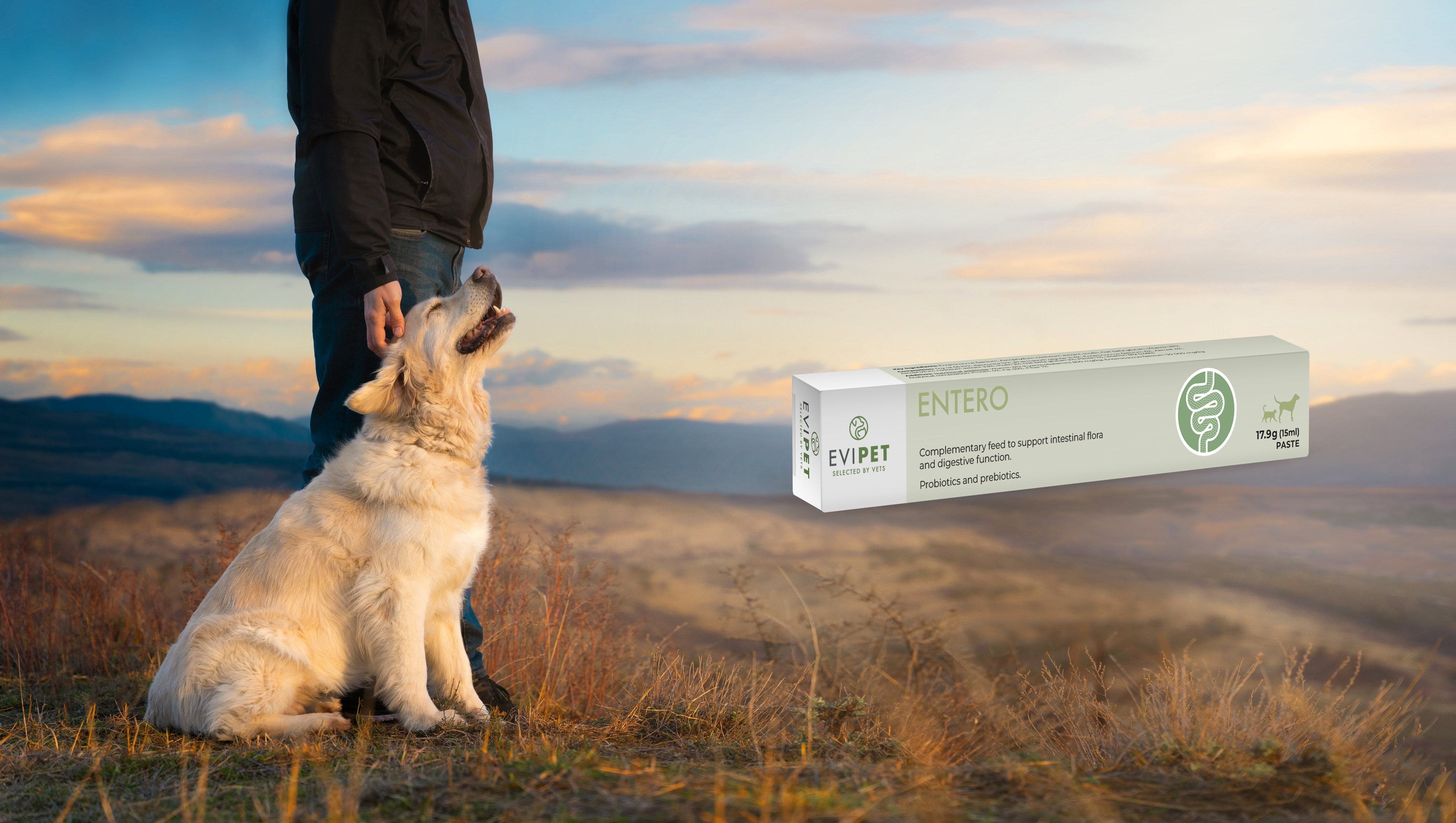 evipet entero paste background