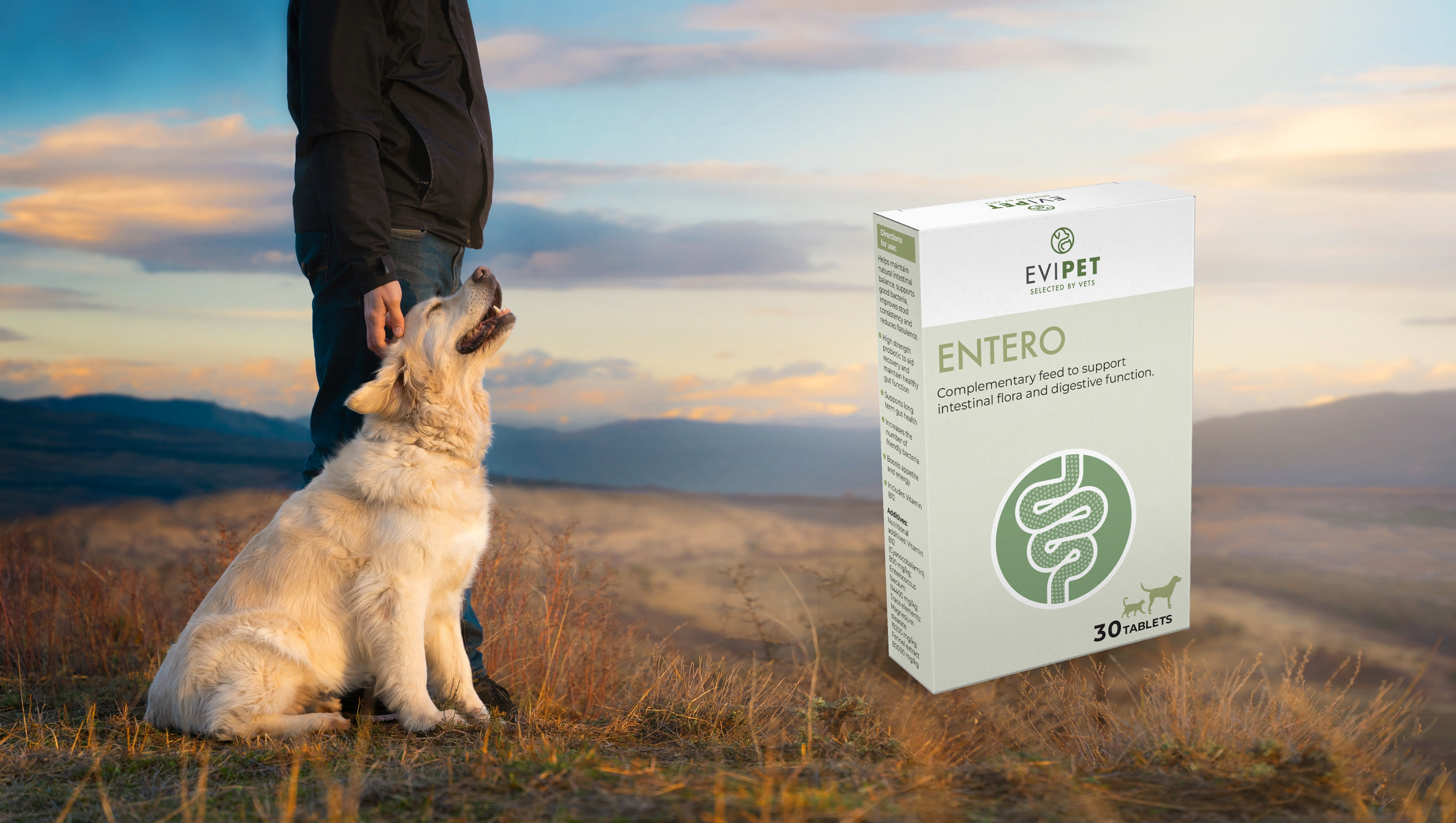 evipet joints entero background