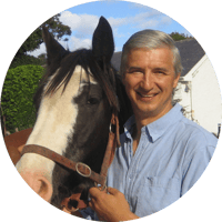ralf_horse_b_08-modified