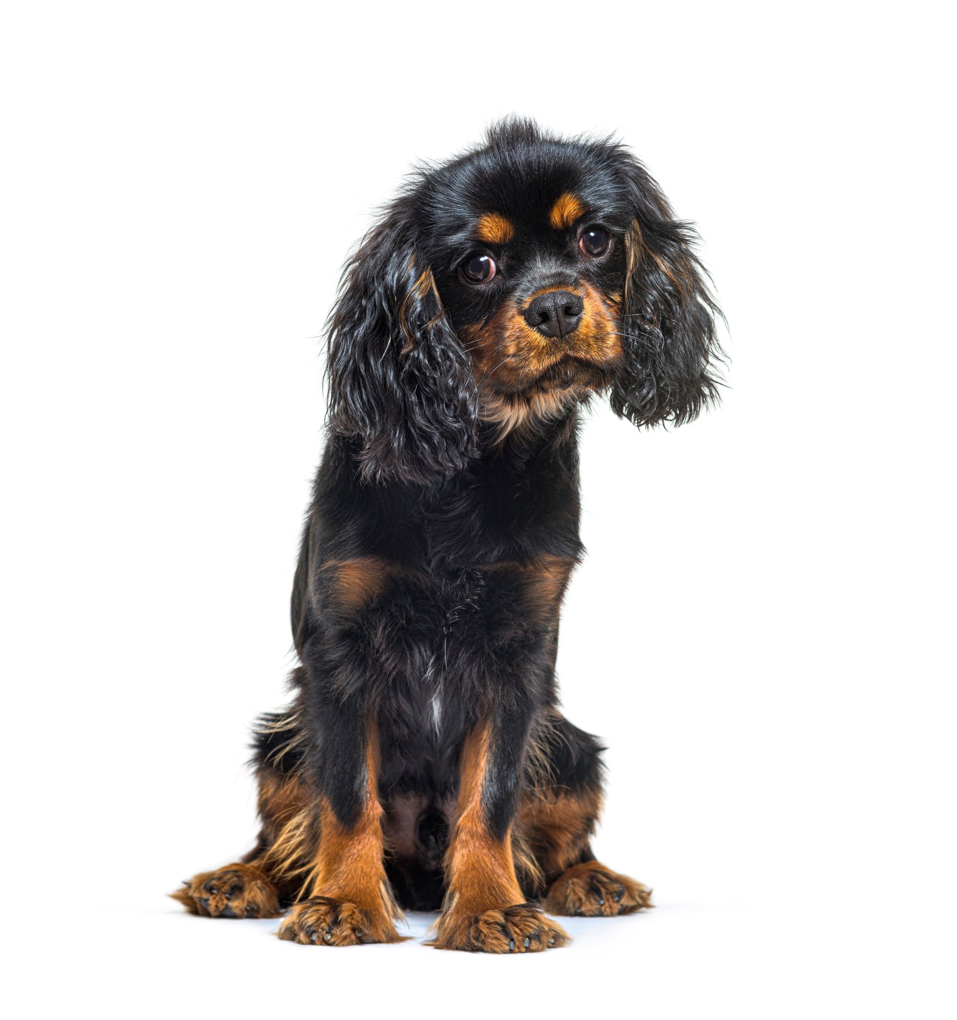 shutterstock_2131692473