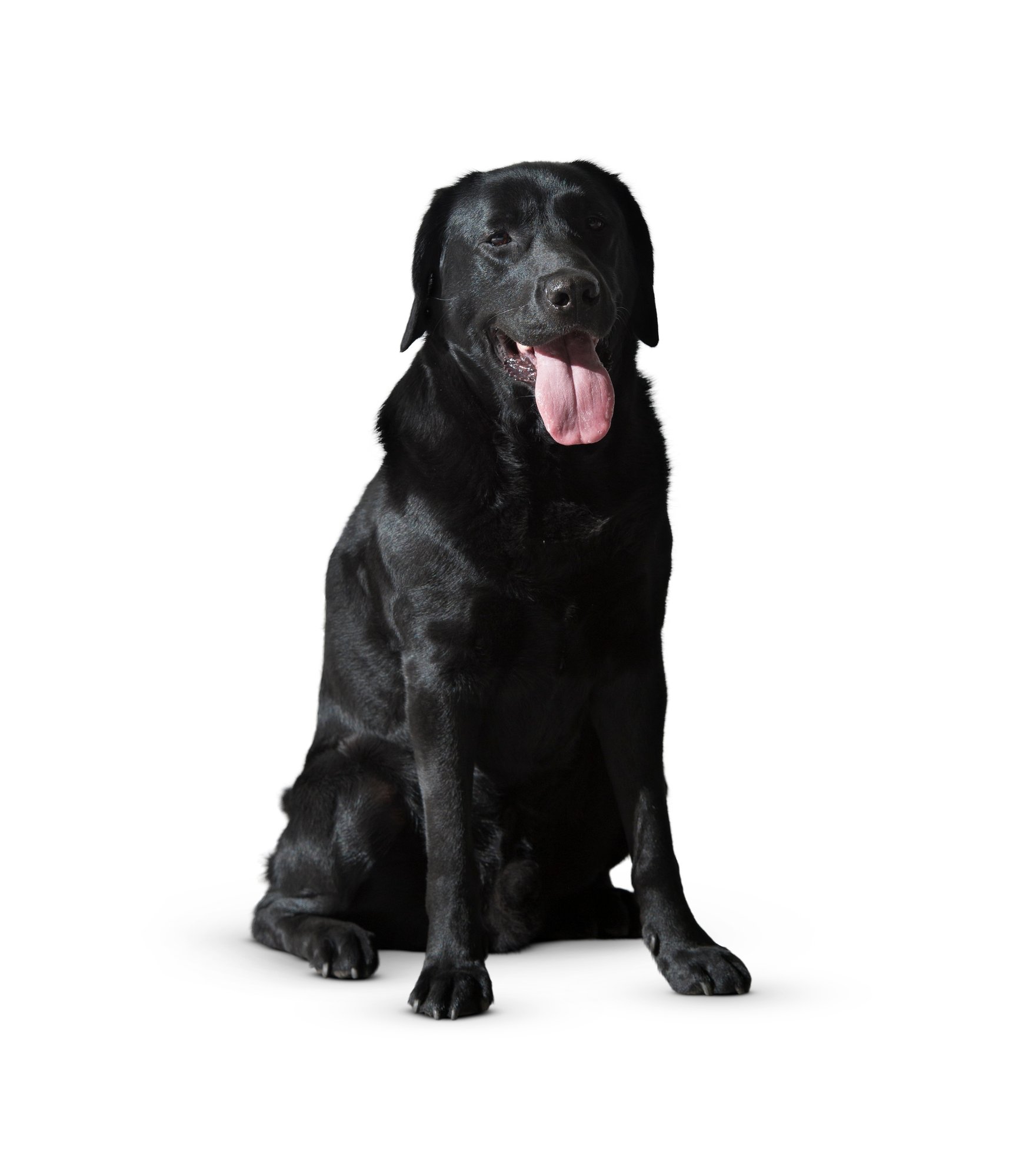 shutterstock_2205634669 shutterstock_2205634669