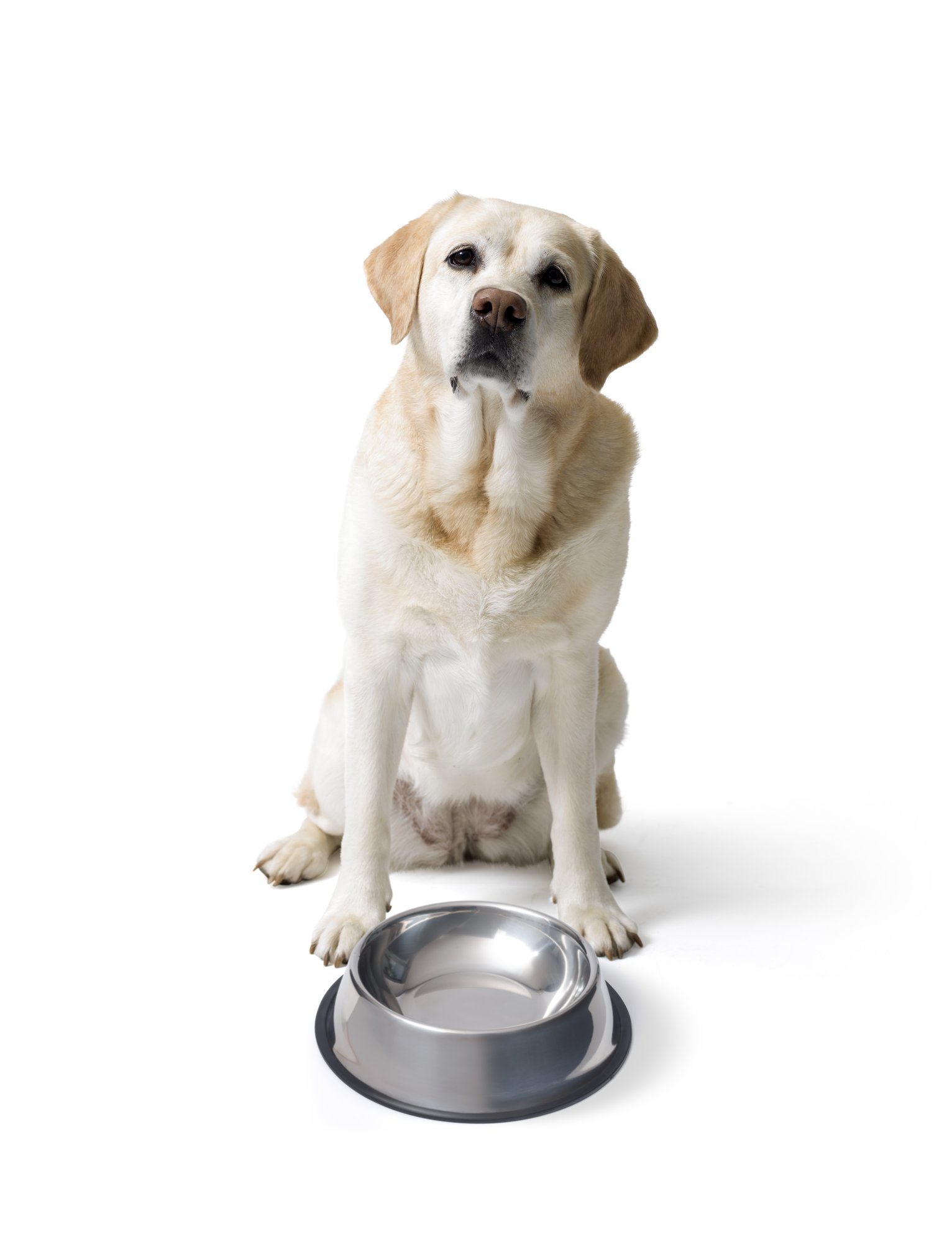 shutterstock_2464819913 shutterstock_2464819913