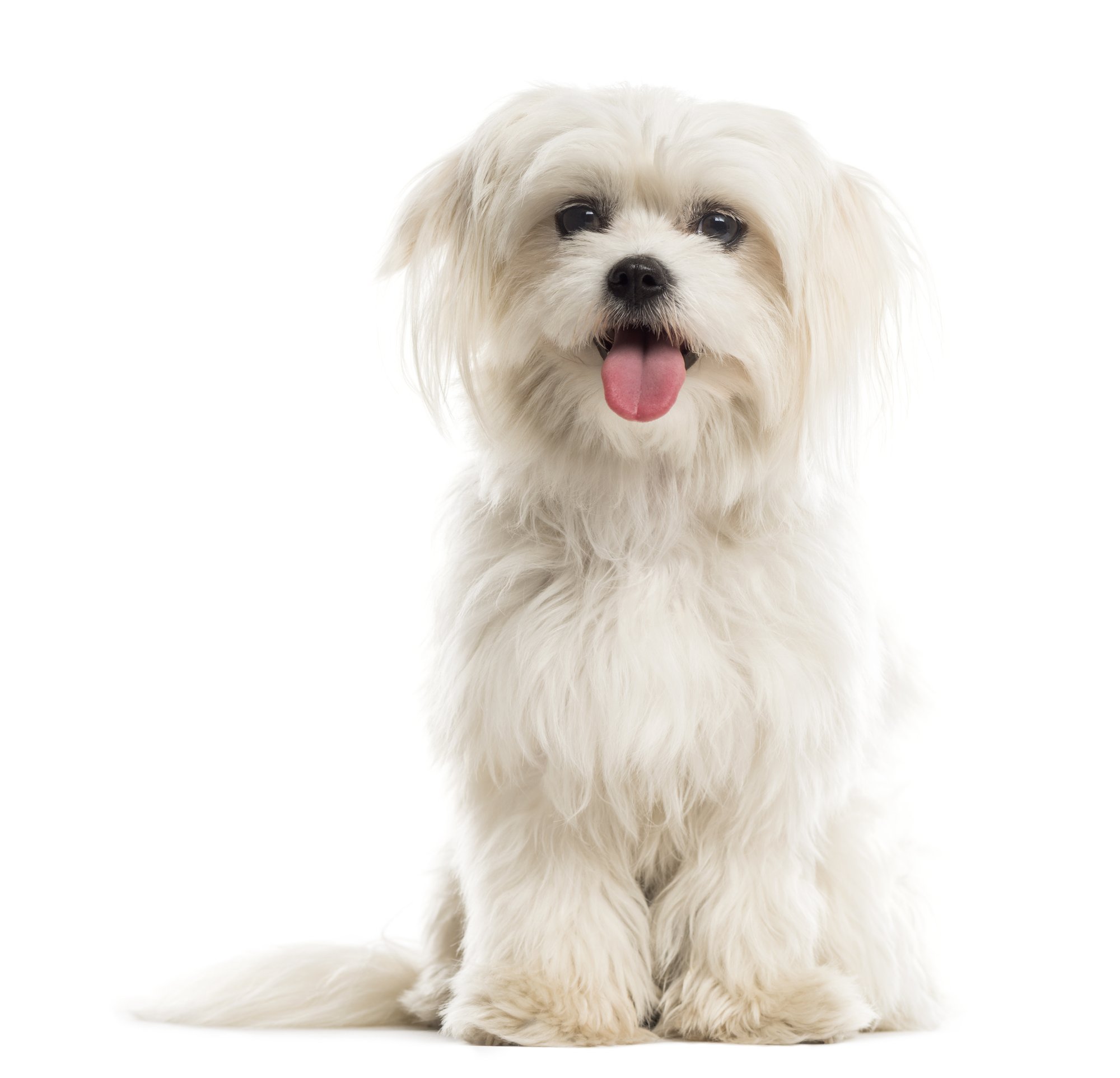 shutterstock_321698726 shutterstock_321698726