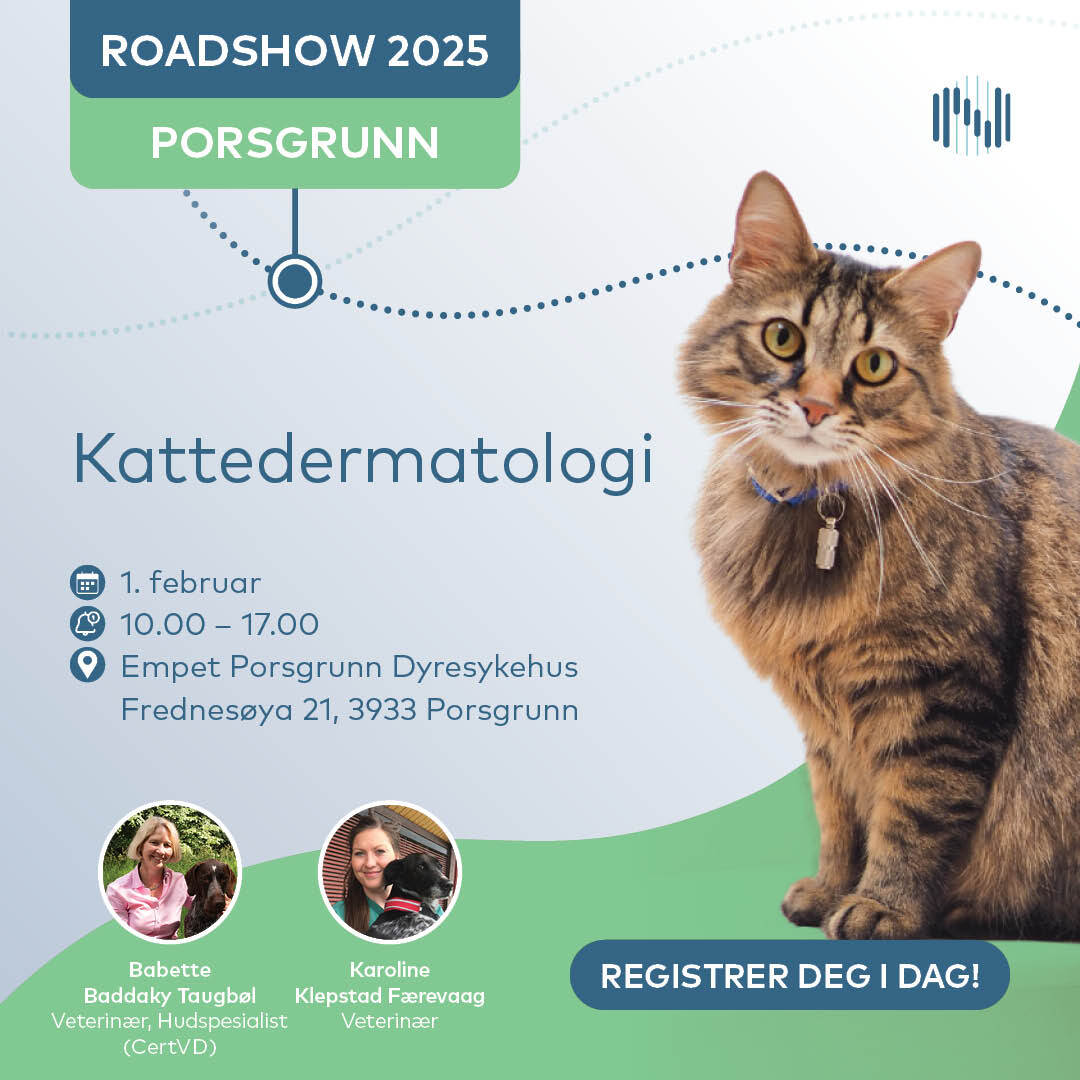 Roadshow 02-01-2025 Porsgrunn Sign up_v1