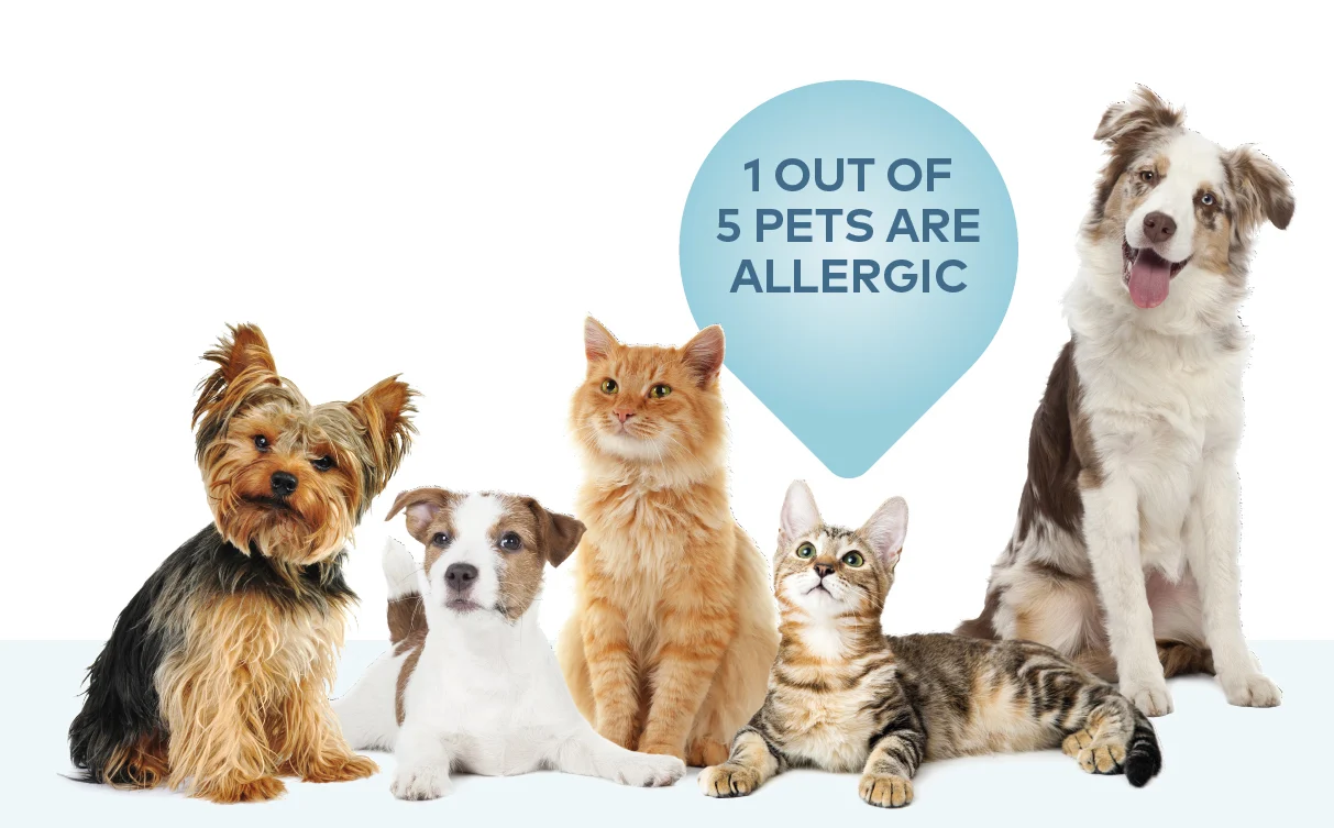1-of-5-pets-are-allergic