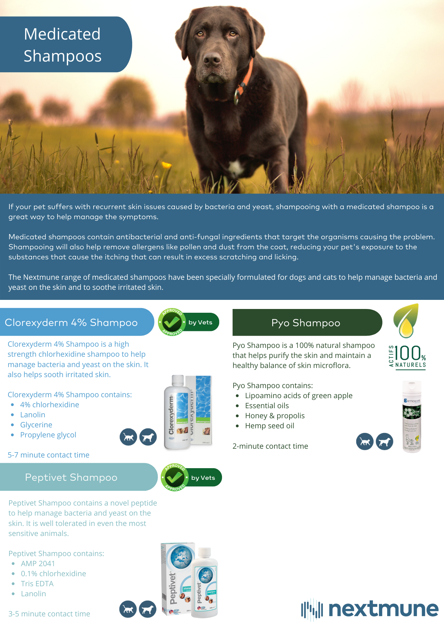 Medictaed Shampoos