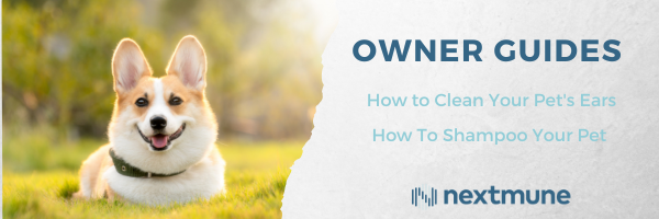 Owner Guides