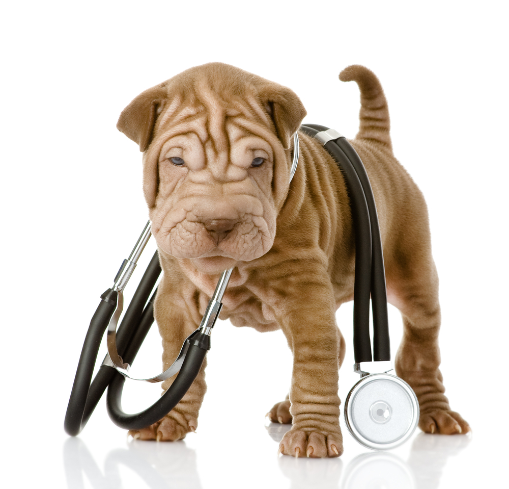 shutterstock_117799900-1
